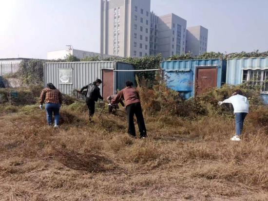 華瓴集團開展“除草作貢獻、行動踐初心”黨建志愿活動