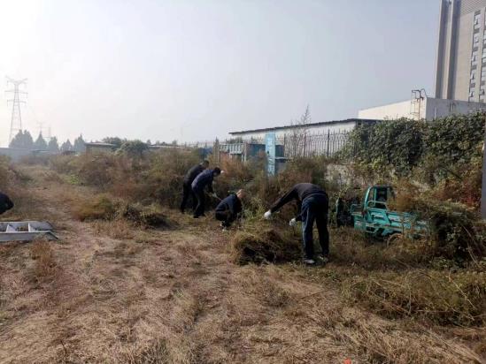 華瓴集團開展“除草作貢獻、行動踐初心”黨建志愿活動